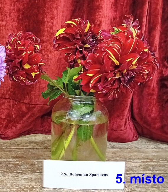 07-5 misto.jpg